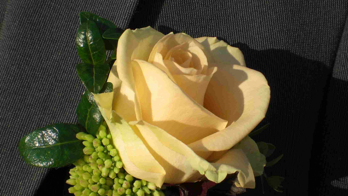 Anstecker für den Bräutigam